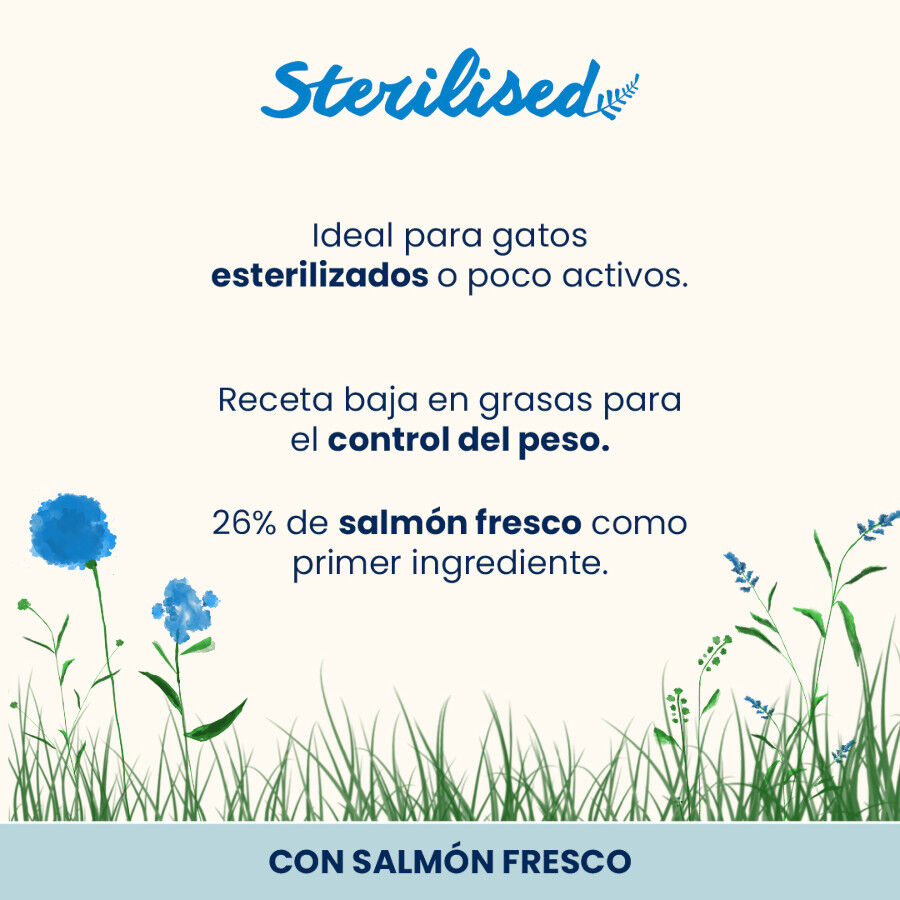 2 kg Almo Nature Alimento para gatos com salm&atilde;o esterilizado, , large Imagem n&uacute;mero 2